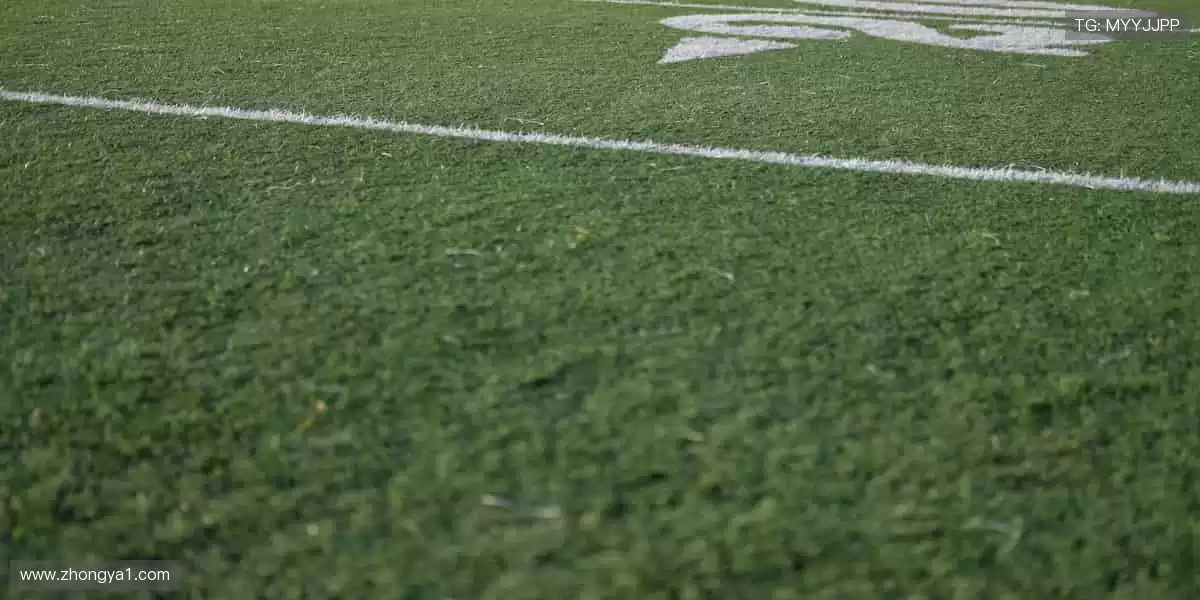 📱实时直播，一键解锁赛场心跳！